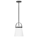 Small Single Light Convertible Pendant