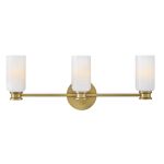 Medium Three Light Vanity