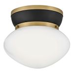 Small Flush Mount