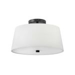 Medium Flush Mount