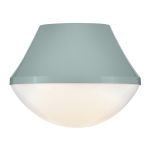 Small Flush Mount